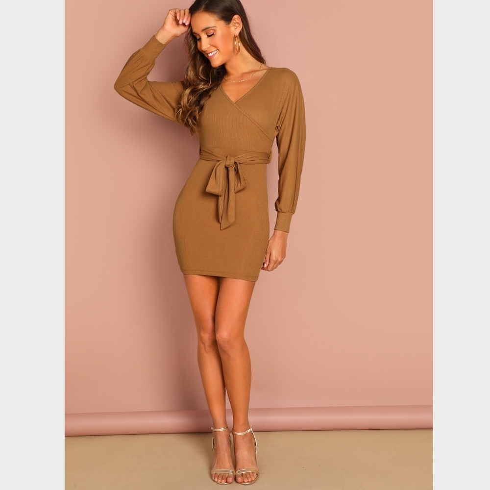 Camel V-Neck Self-Tie Belt Long Sleeve Mini Dress - Picture 5 of 7